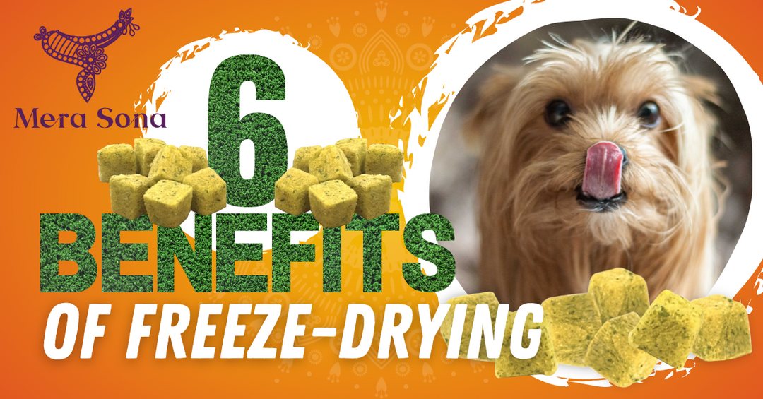 6 Benefits of Freeze-Drying