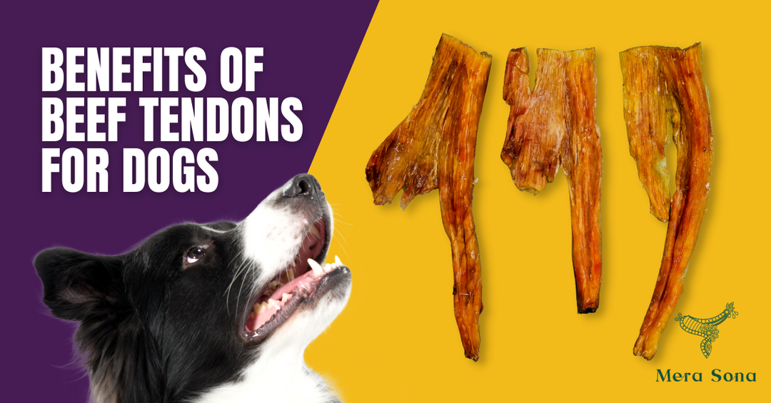 Benefits of Beef Tendons for Dogs