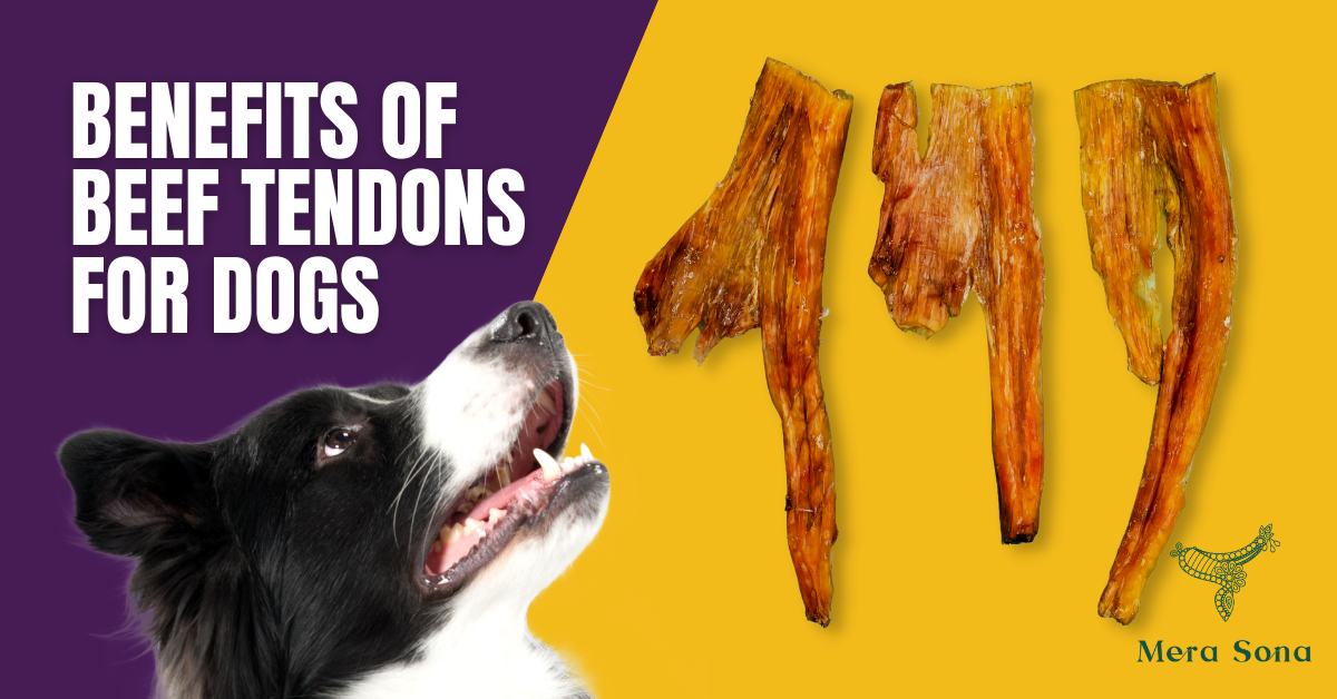 Benefits of Beef Tendons for Dogs