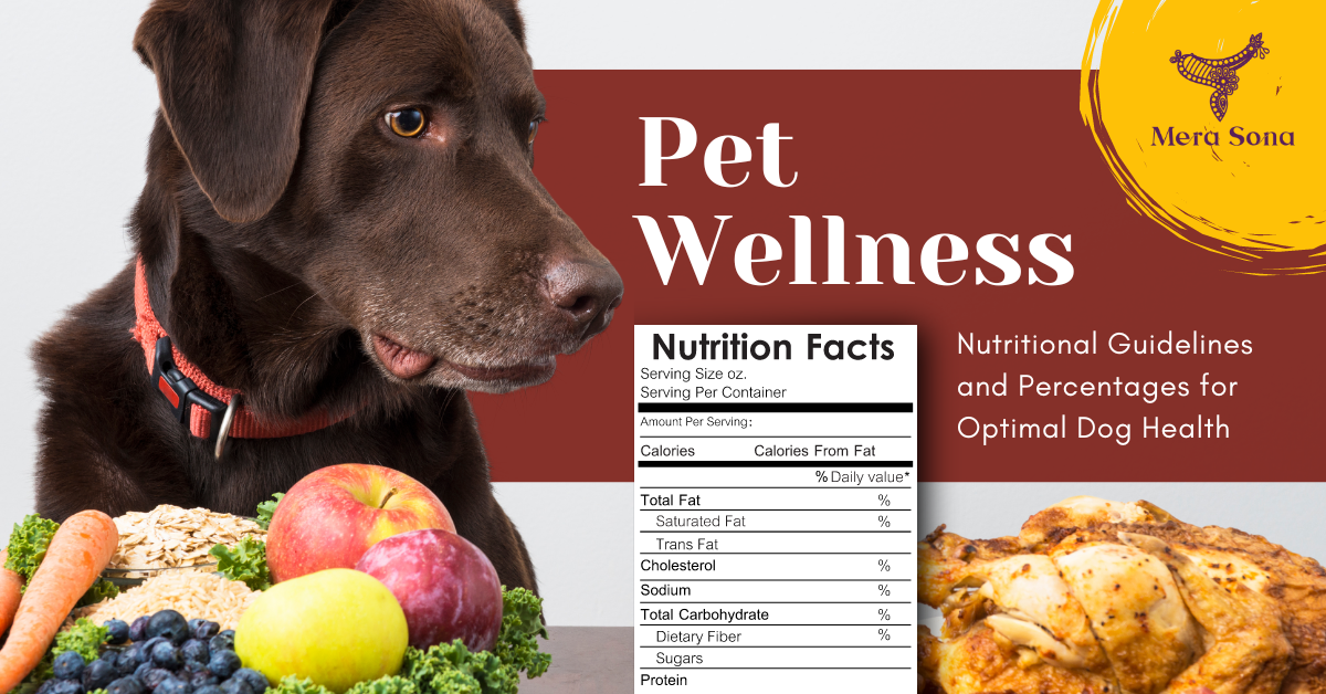 The Complete Dog Nutrition Guide: What Dogs Need for a Healthy, Balanced Diet