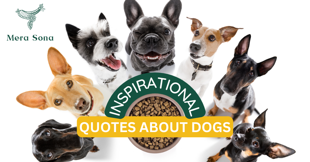 Inspirational Quotes About Dogs