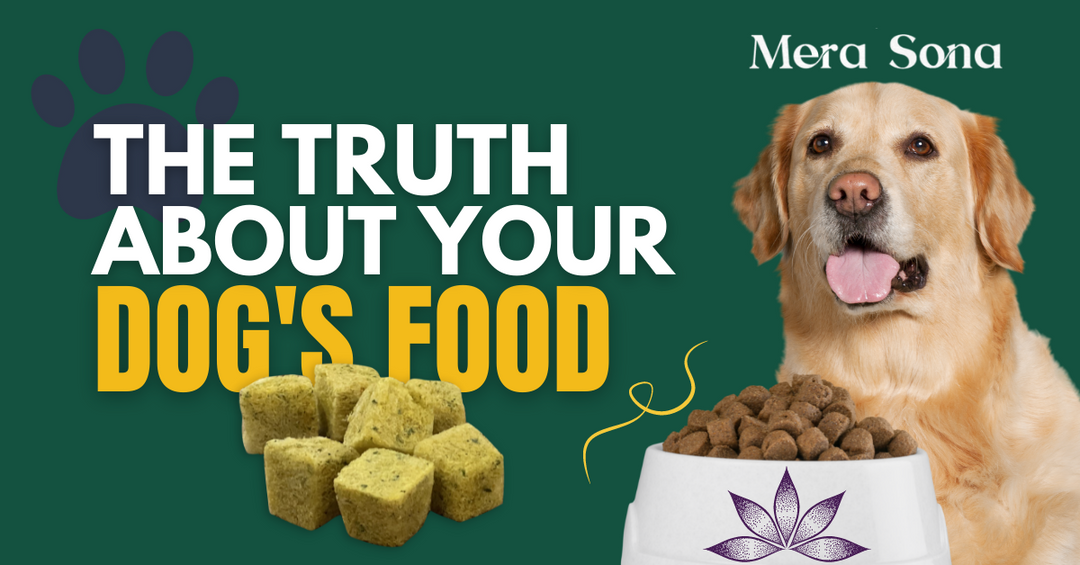 Is Your Dog Food Lacking Proper Nutrients?