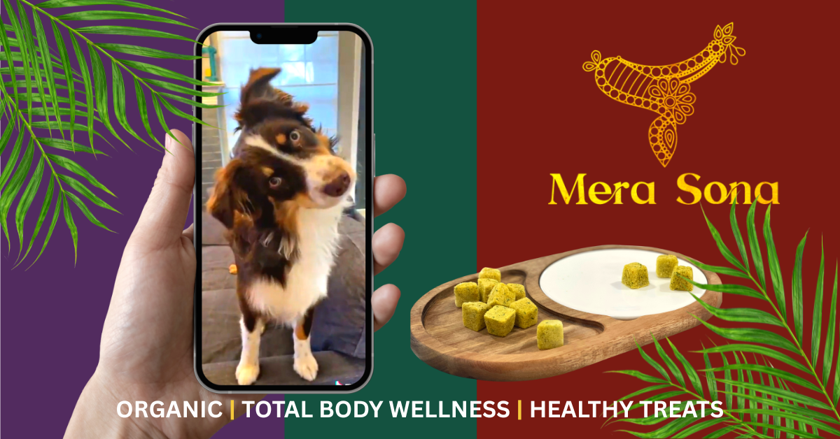 Going Green for your Pets – Adding Organic to your Pup’s Diet